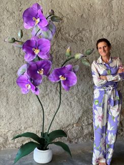 Orchidée violette